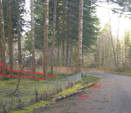 31foot logB12.jpg