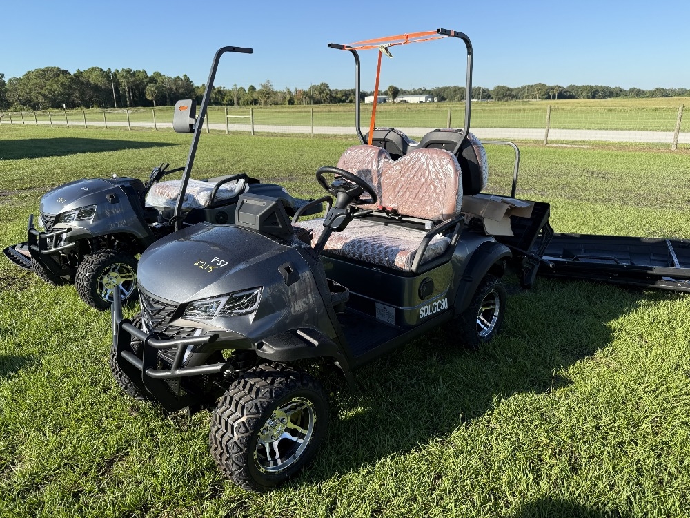 IR SDLGC80 Electric Golf Cart (A53316)