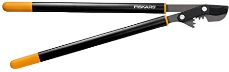 41MDO7XKF6L._AC_SX466_.jpg