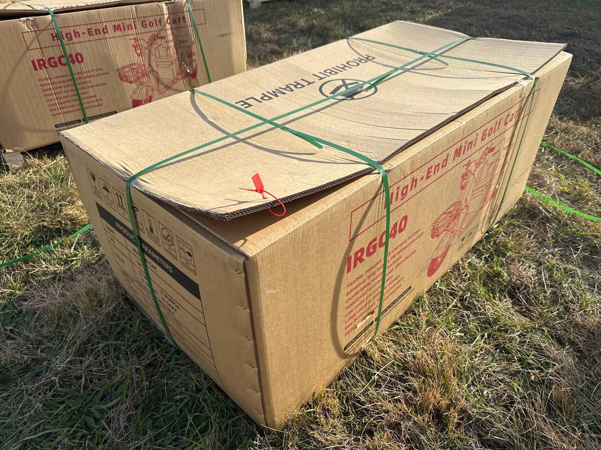 New/Unused IRGC40 Mini Golf Cart (A57453)