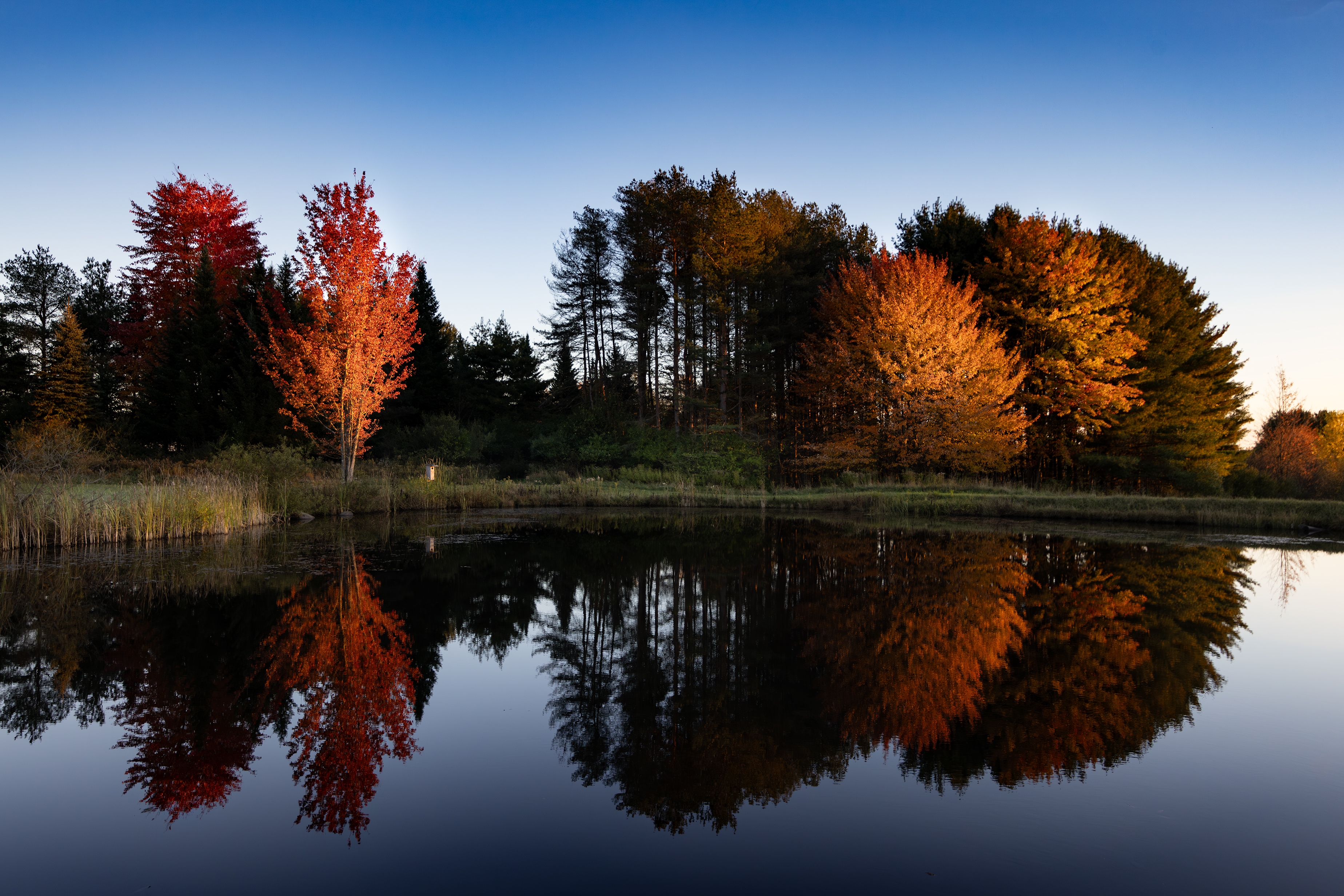 496A1713-Sunset  over autumn pond S.jpg