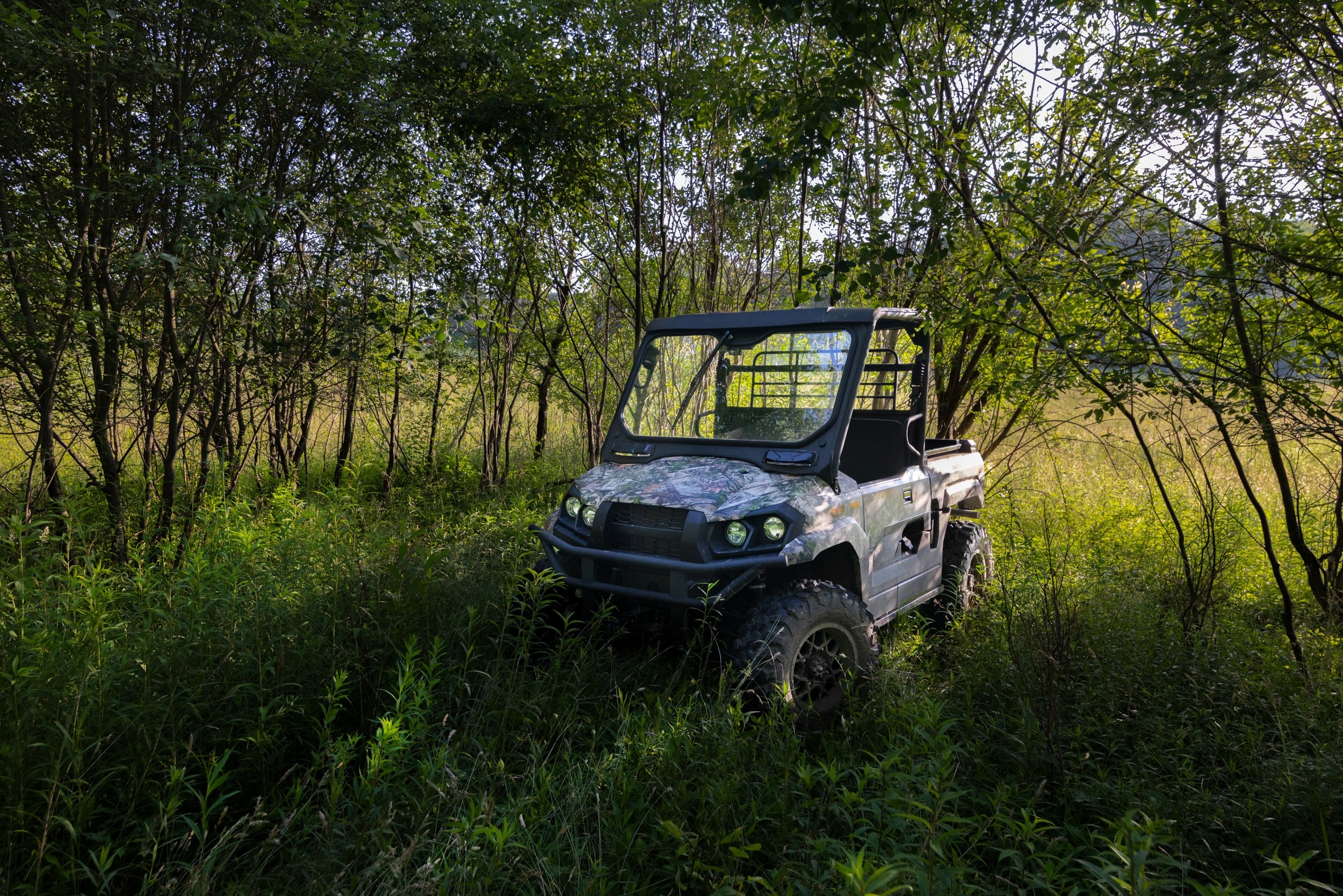 496A4880 mule sunset.jpg