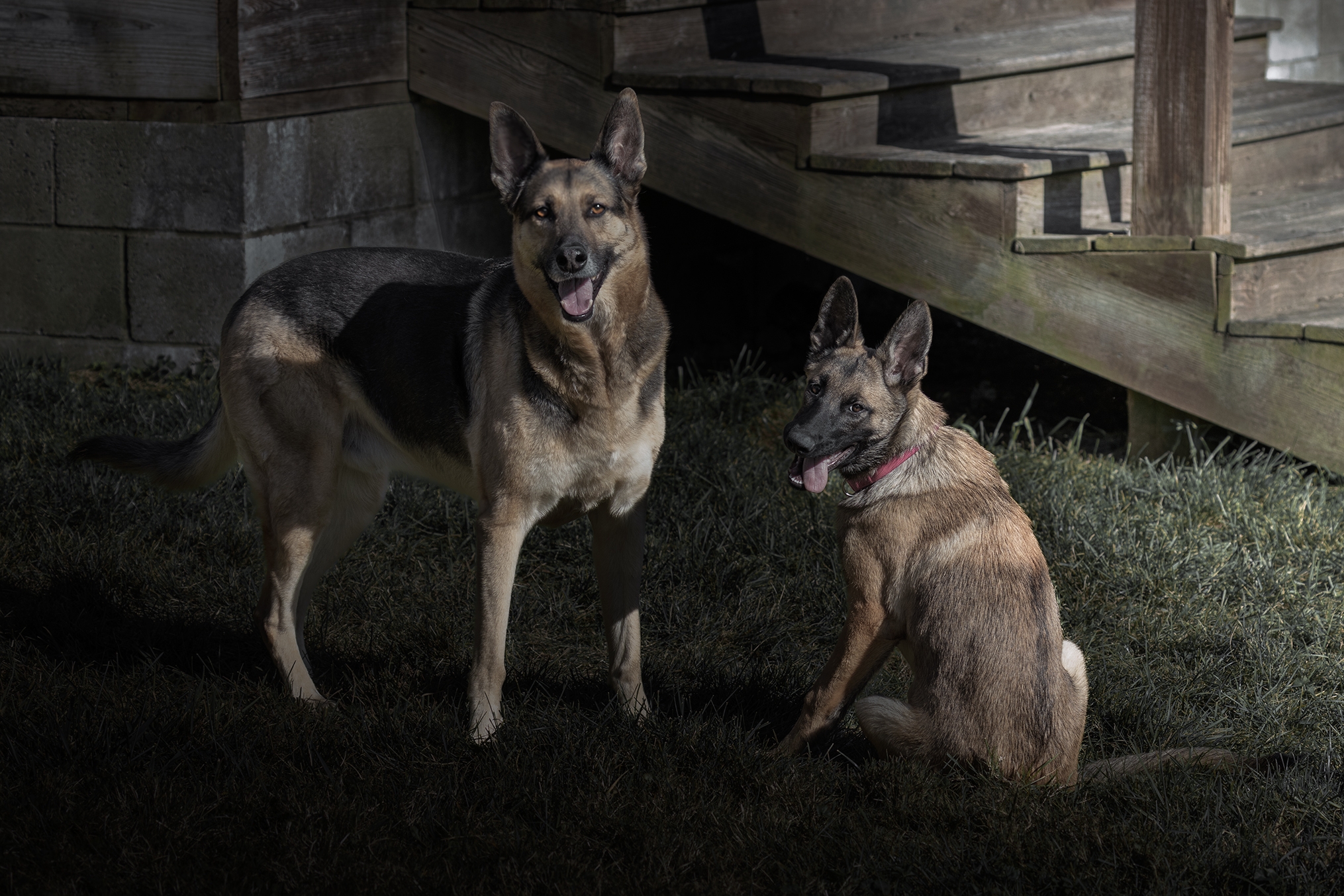 496A7525 Buck and Dax s.jpg