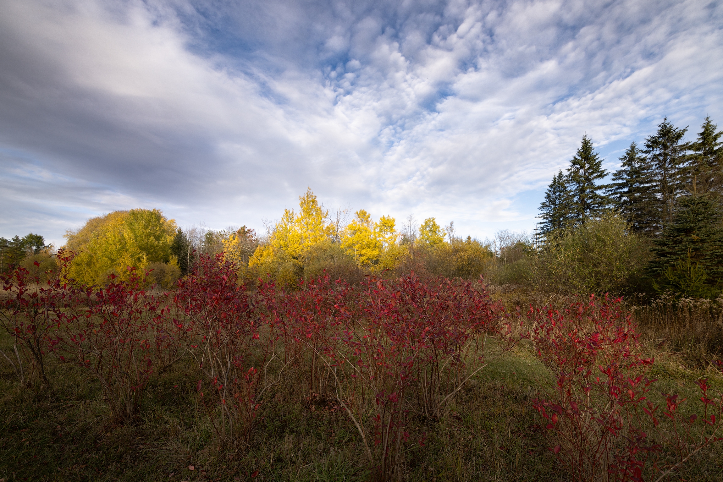 496A7851 Fall small.jpg