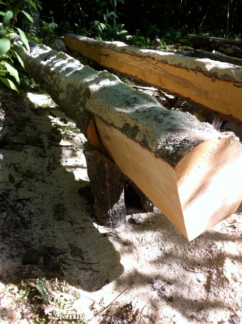 5 bottom log cut.jpg