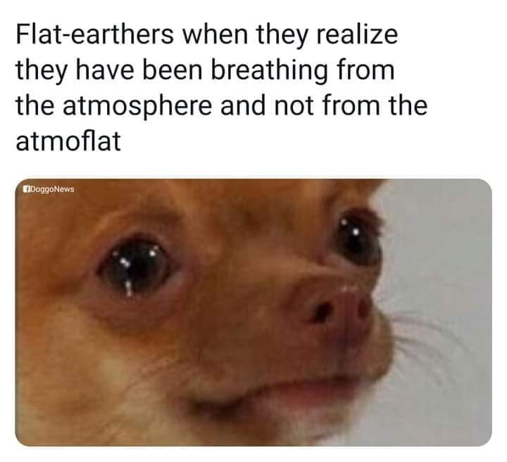 51AFB442-4275-4826-B335-5247528E863E.jpeg