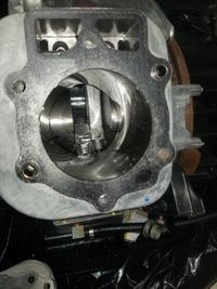5383D186-8617-4CBE-9572-343009E09444.jpeg