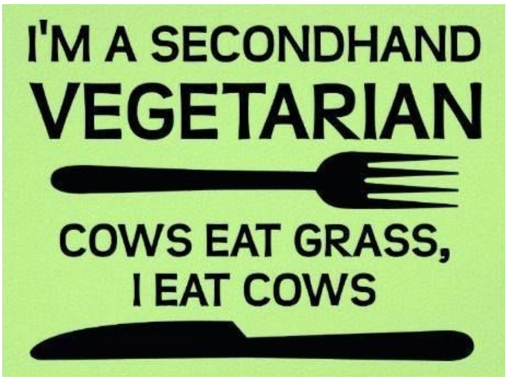 5CCF8FF3-CE7D-4D4F-8F89-146B087C1DCE.png
