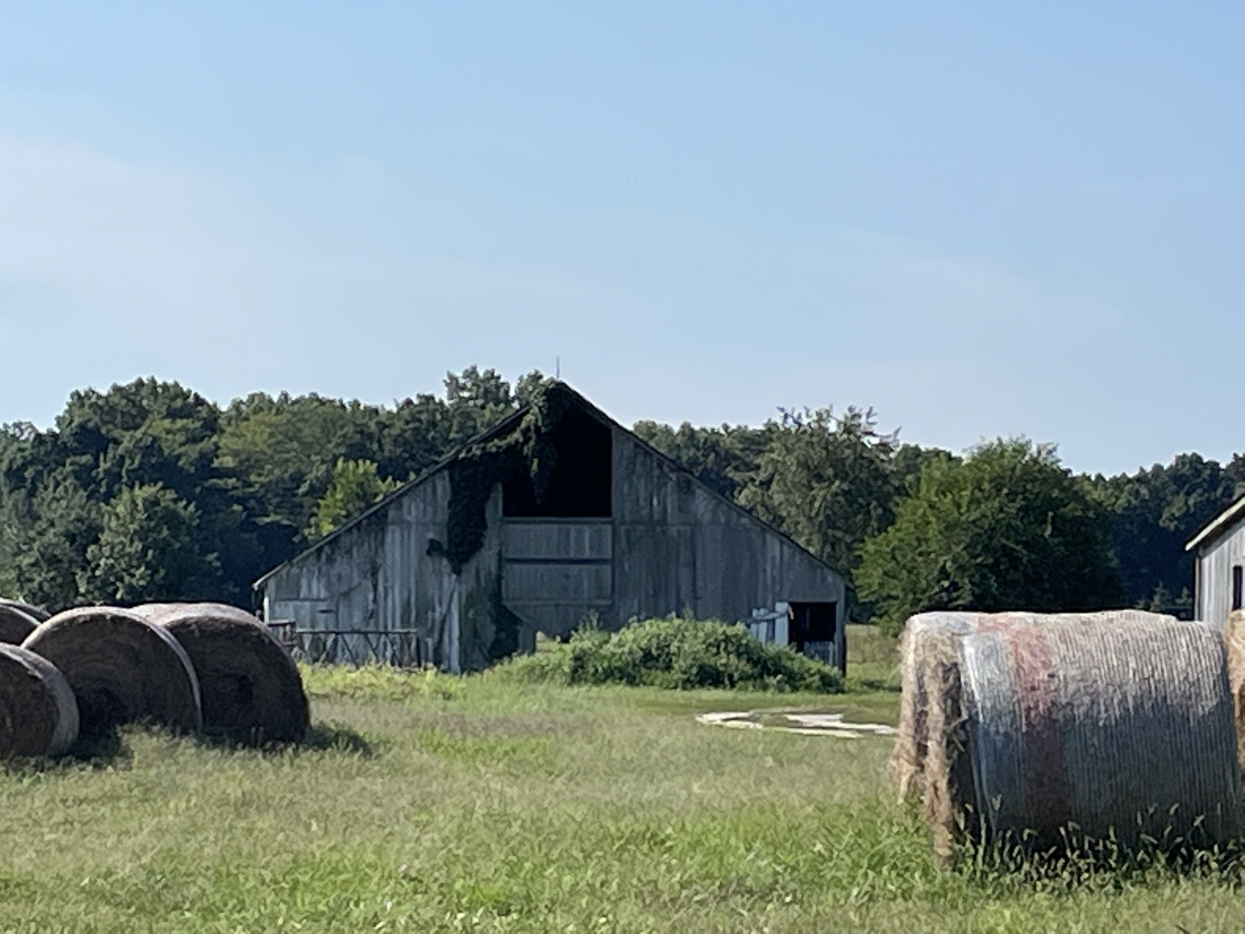 60979D22-91E8-4FD6-BE34-F093695E891D.jpeg