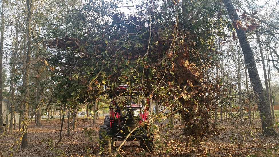 60singlemahindra25388s.jpg