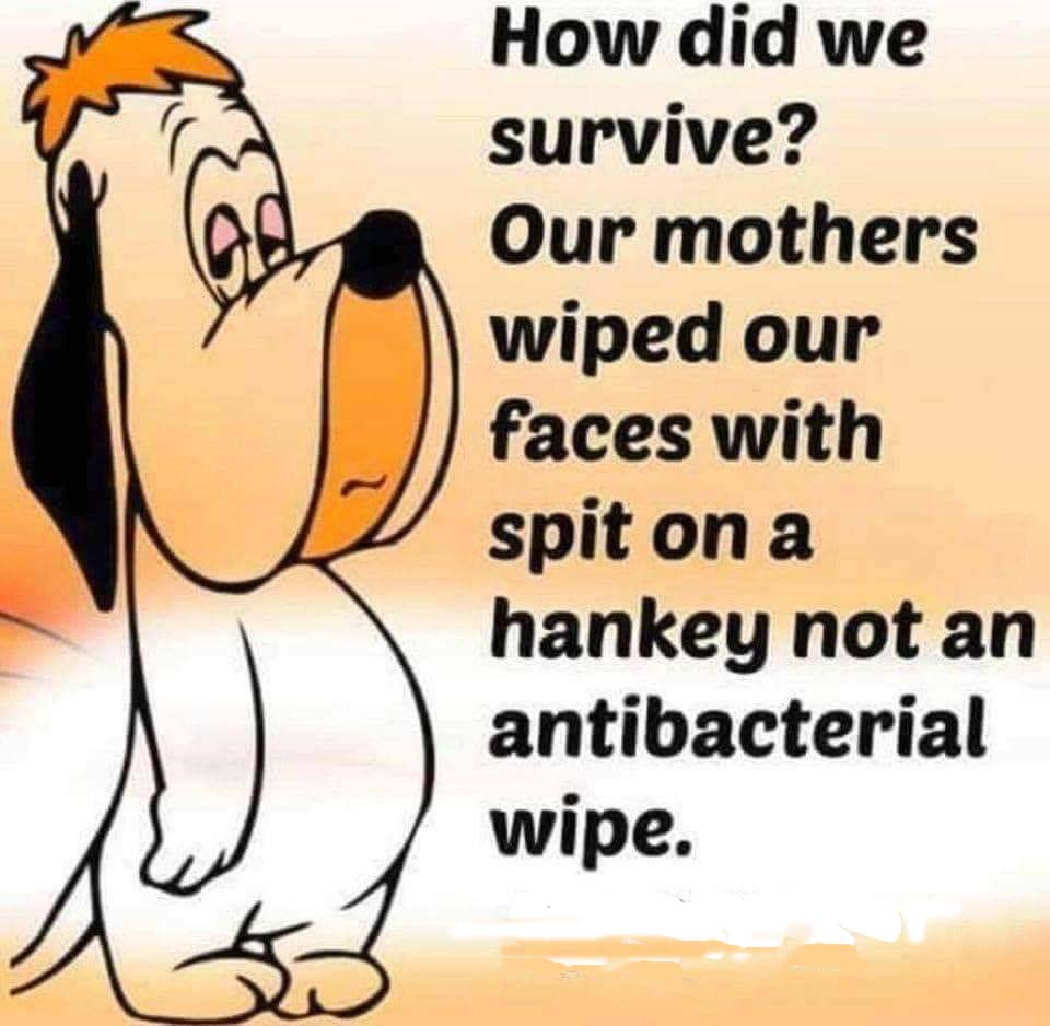 69985C63-2E77-4474-8BA7-00BC0A1291FA.jpeg