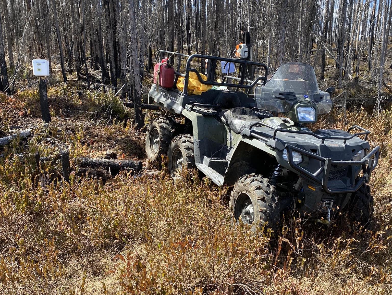 6x61561_n.jpg