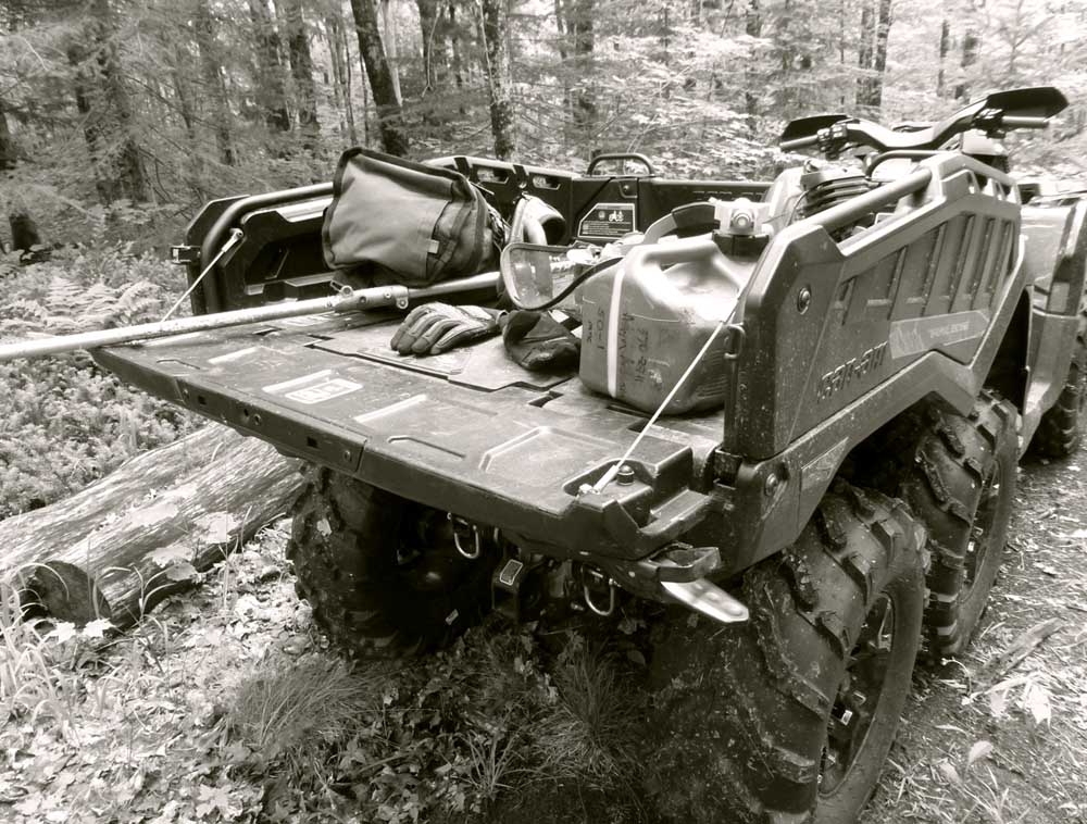 6x6173.jpg