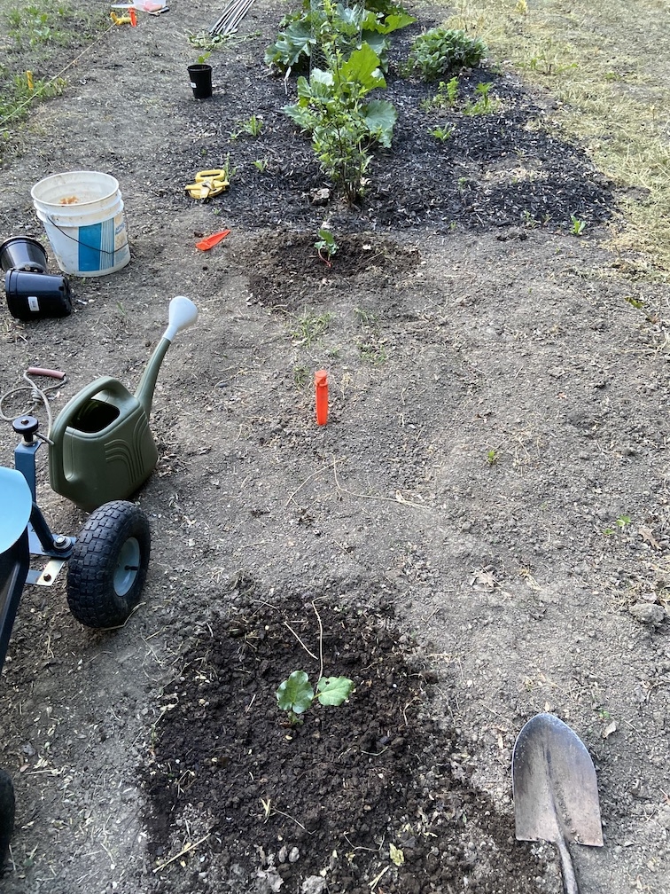 70744579312__B86DF72B-6176-42F1-98A5-90CE5E4600C7 copy.jpg