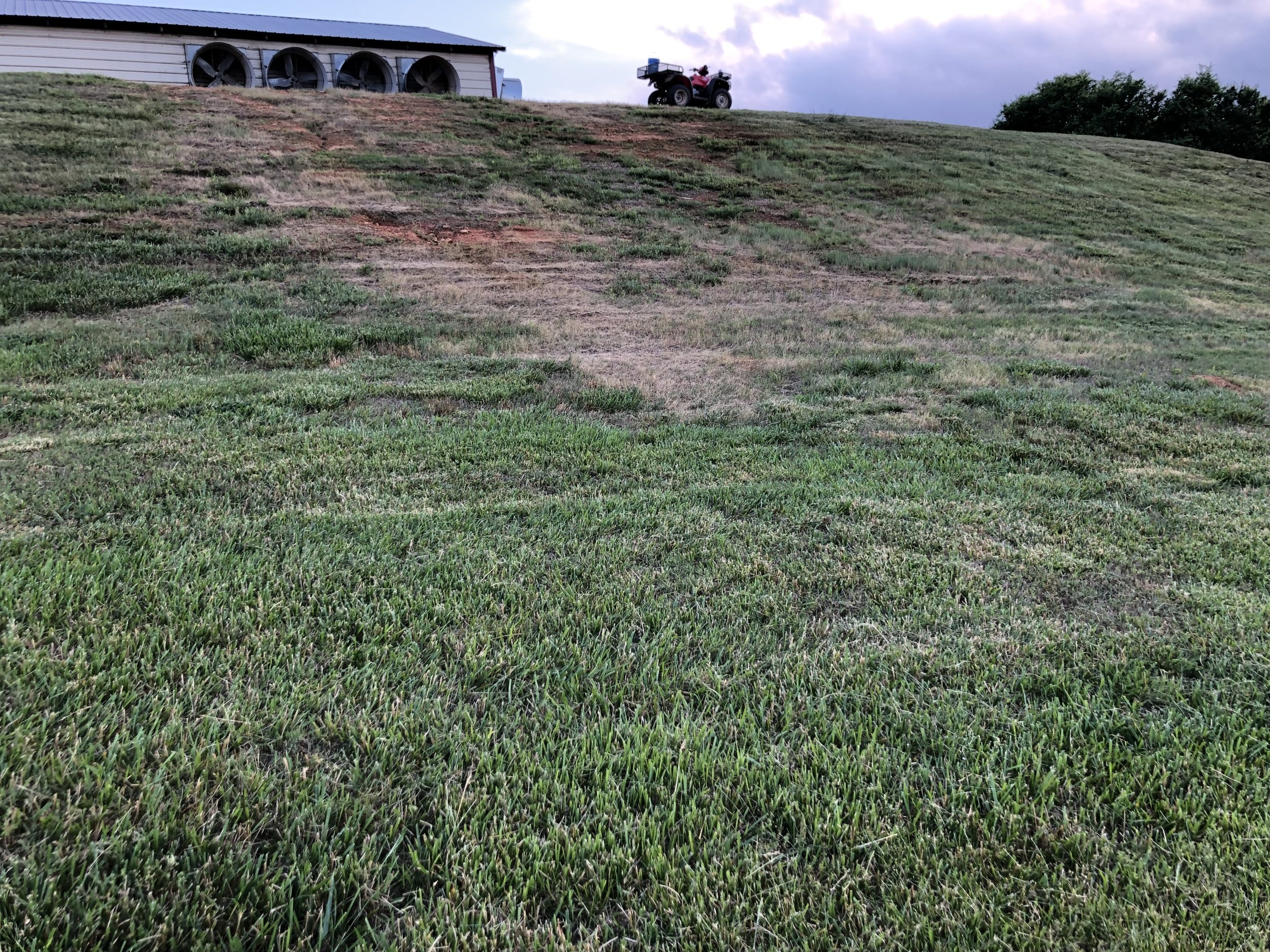 73681759030__890603F0-8E99-4F19-A83A-F7DCB42BA741.jpeg