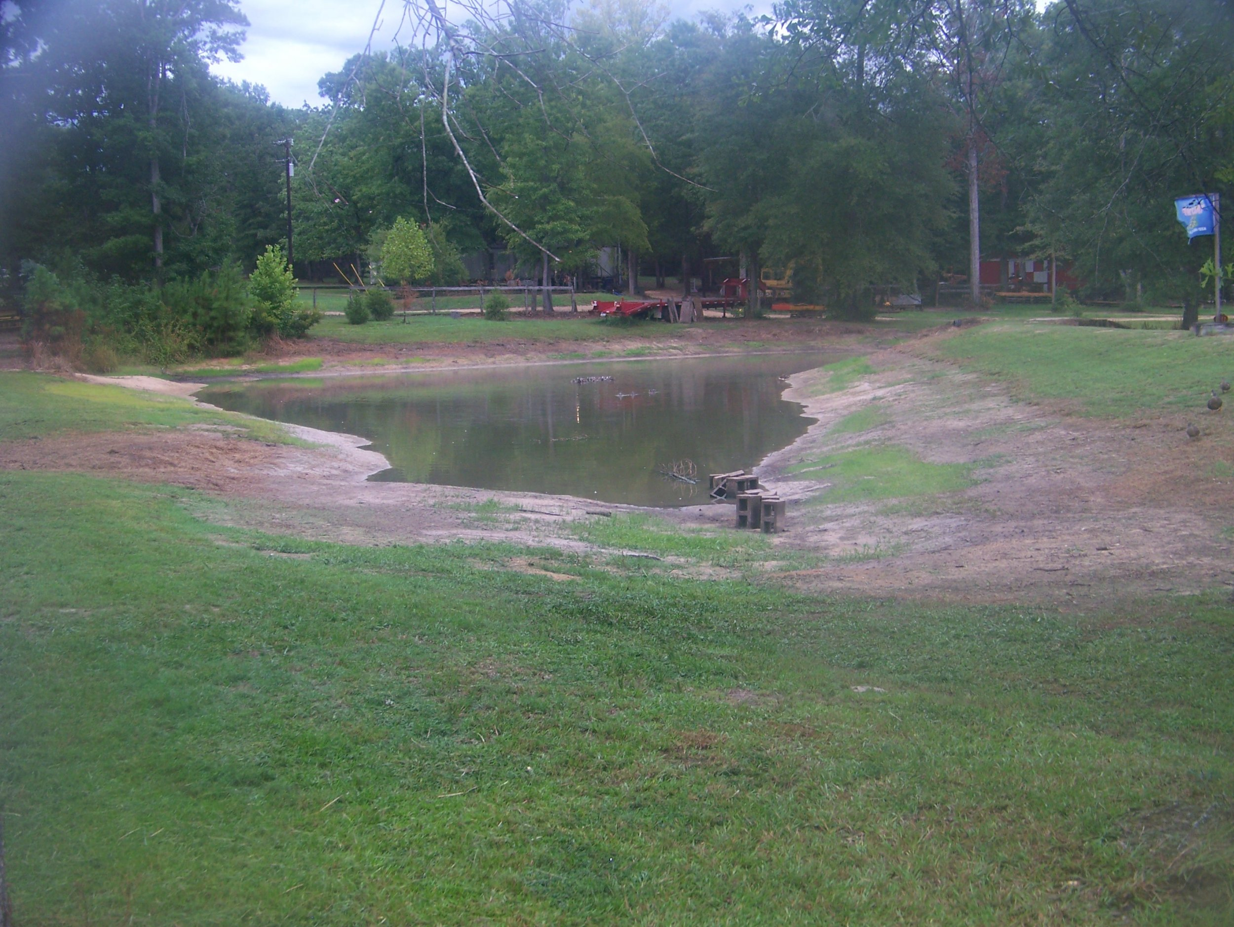 8-17-22 Pond Down Four Foot.jpg