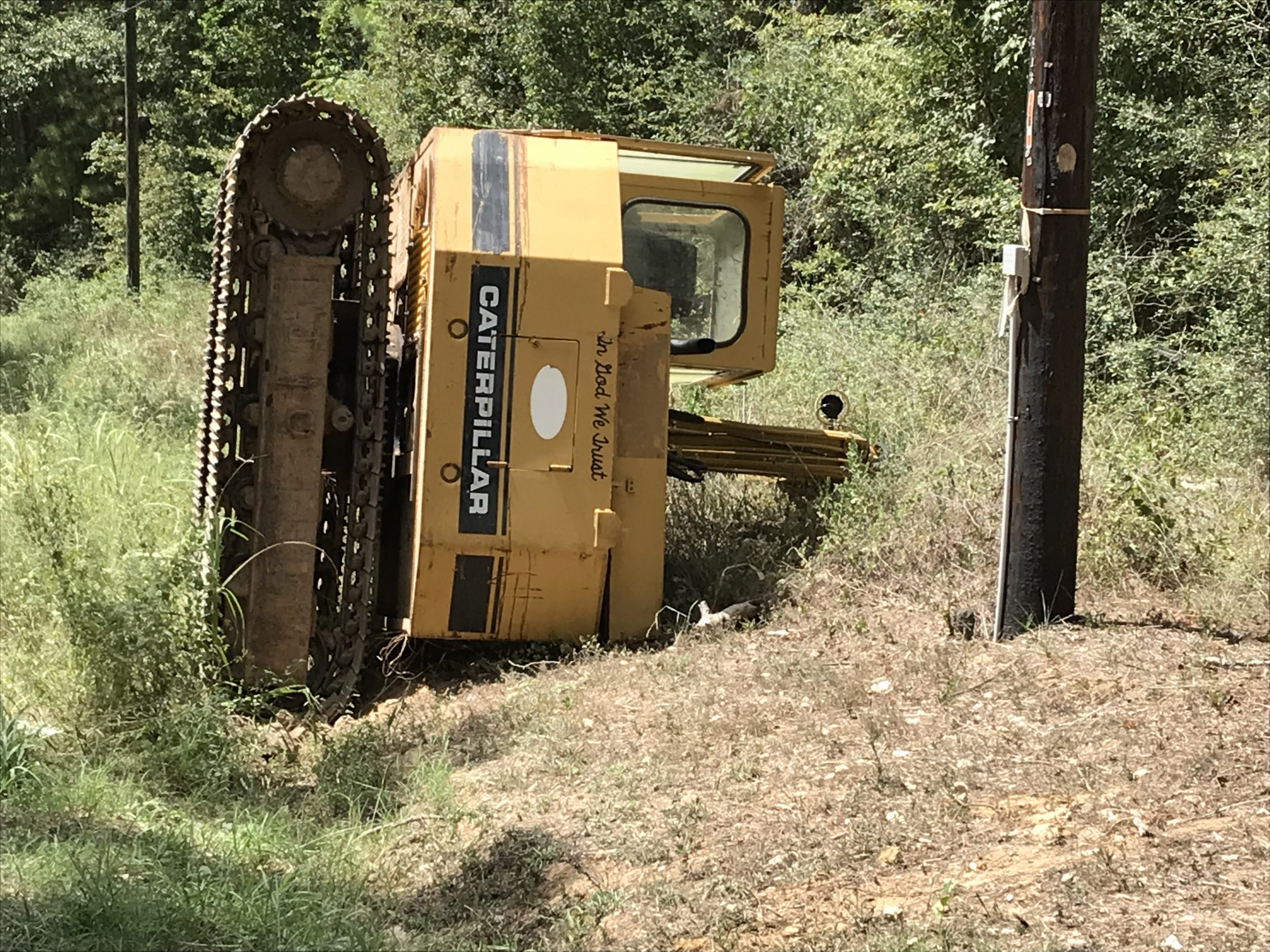 8-31-18 CAT On Her Side Rear View.JPG