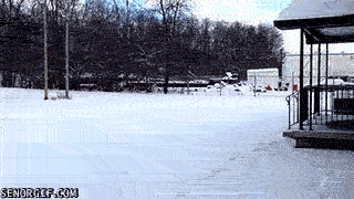 868000-6be3797726851c3c7d1accd152659579.gif