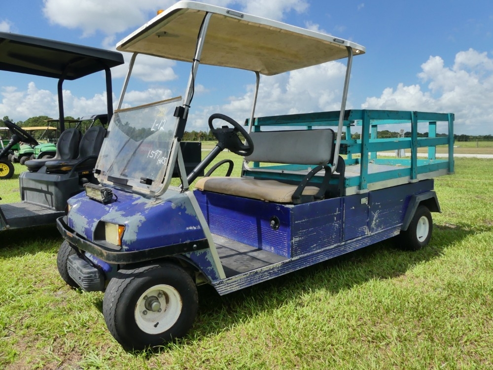 Electric Golf Cart (A50121)