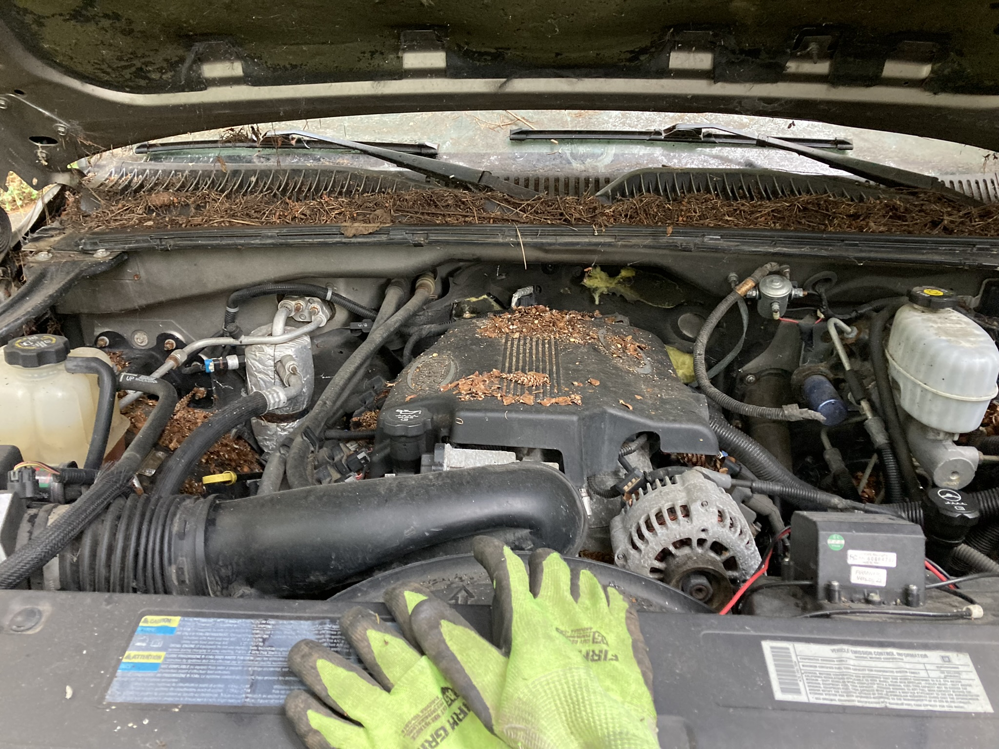 8C594144-8E65-427D-B20D-5D98D354E39A.jpeg