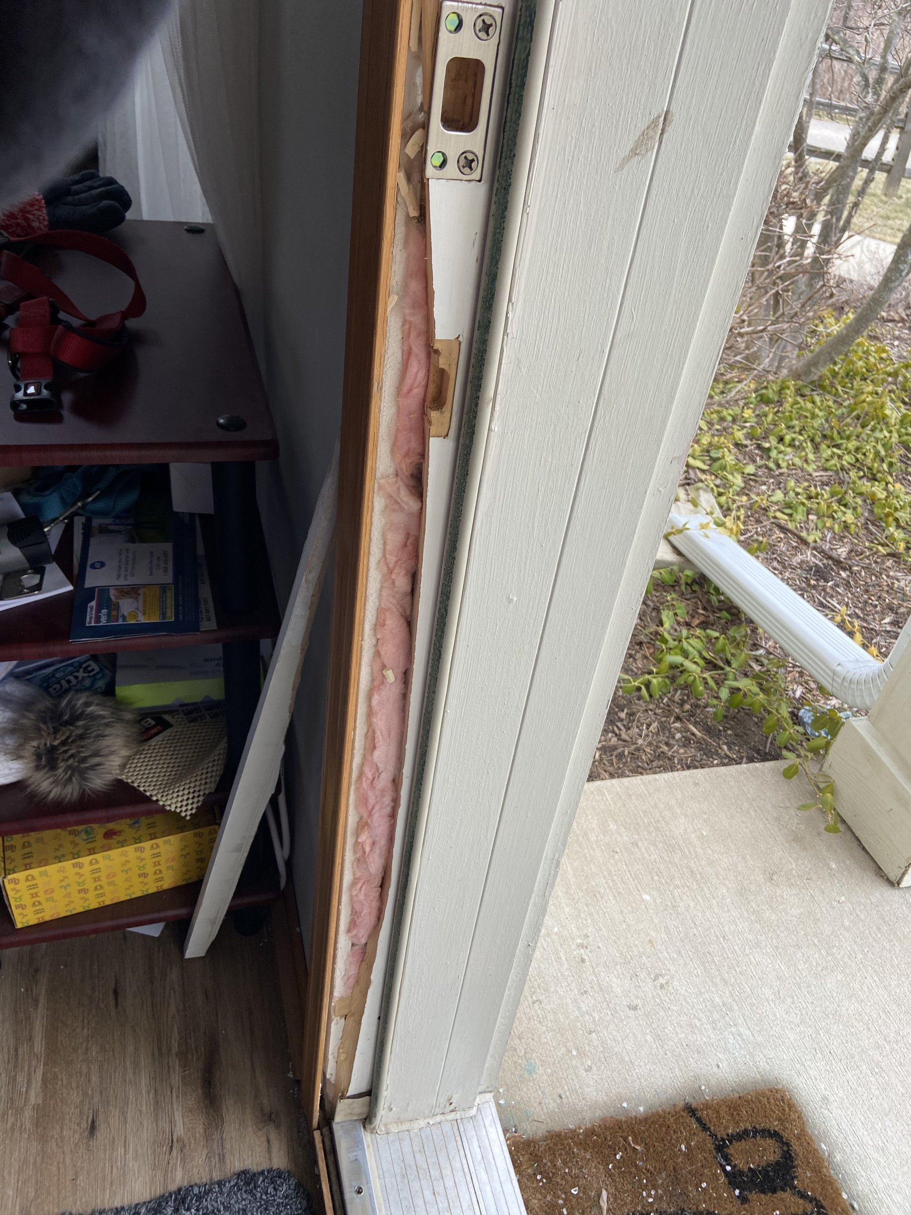 8F92AF0F-30B3-45ED-8314-537E02408A75.jpeg