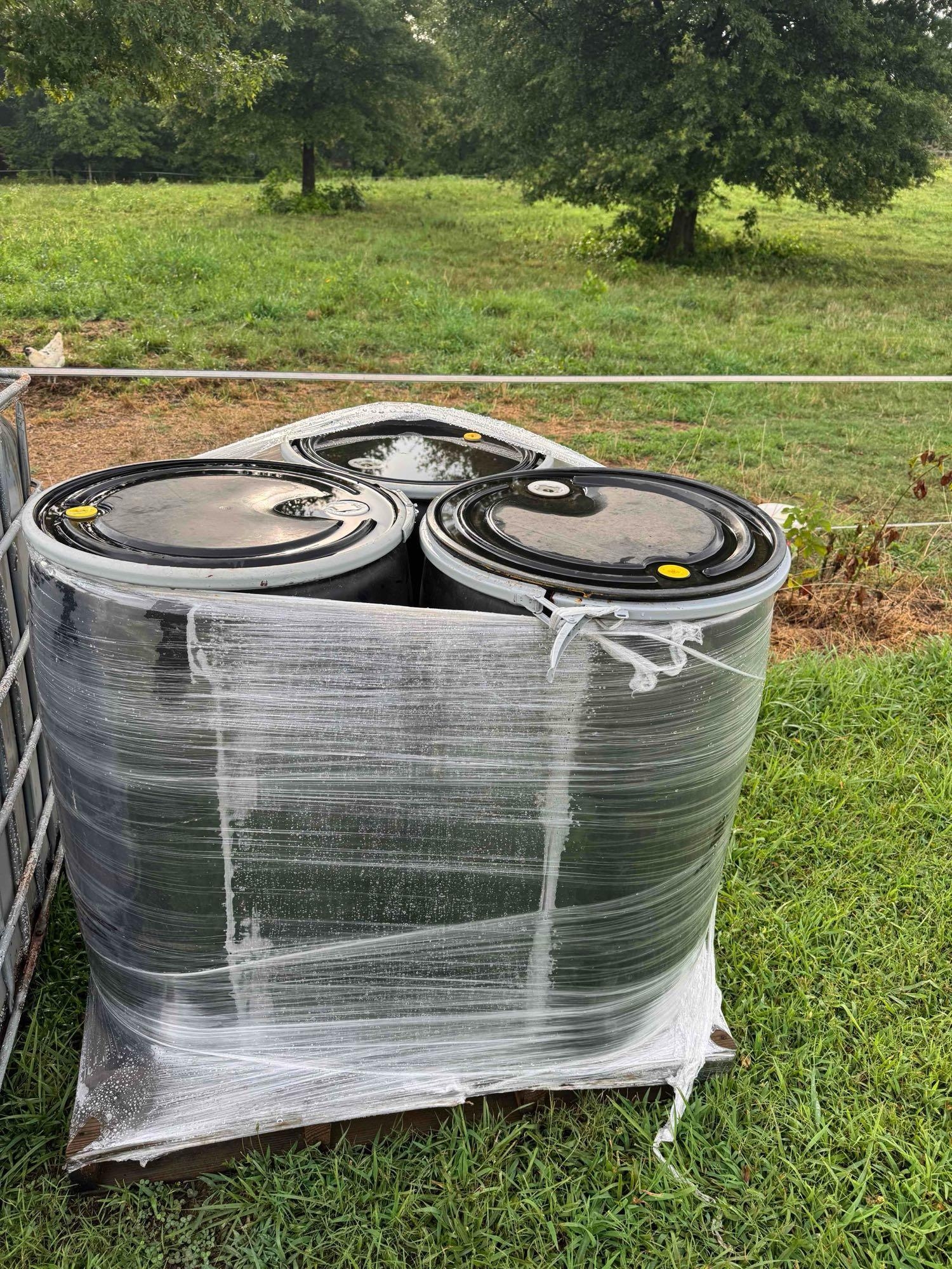 (3) 55-Gallon Drums of Fertilizer (A51573)