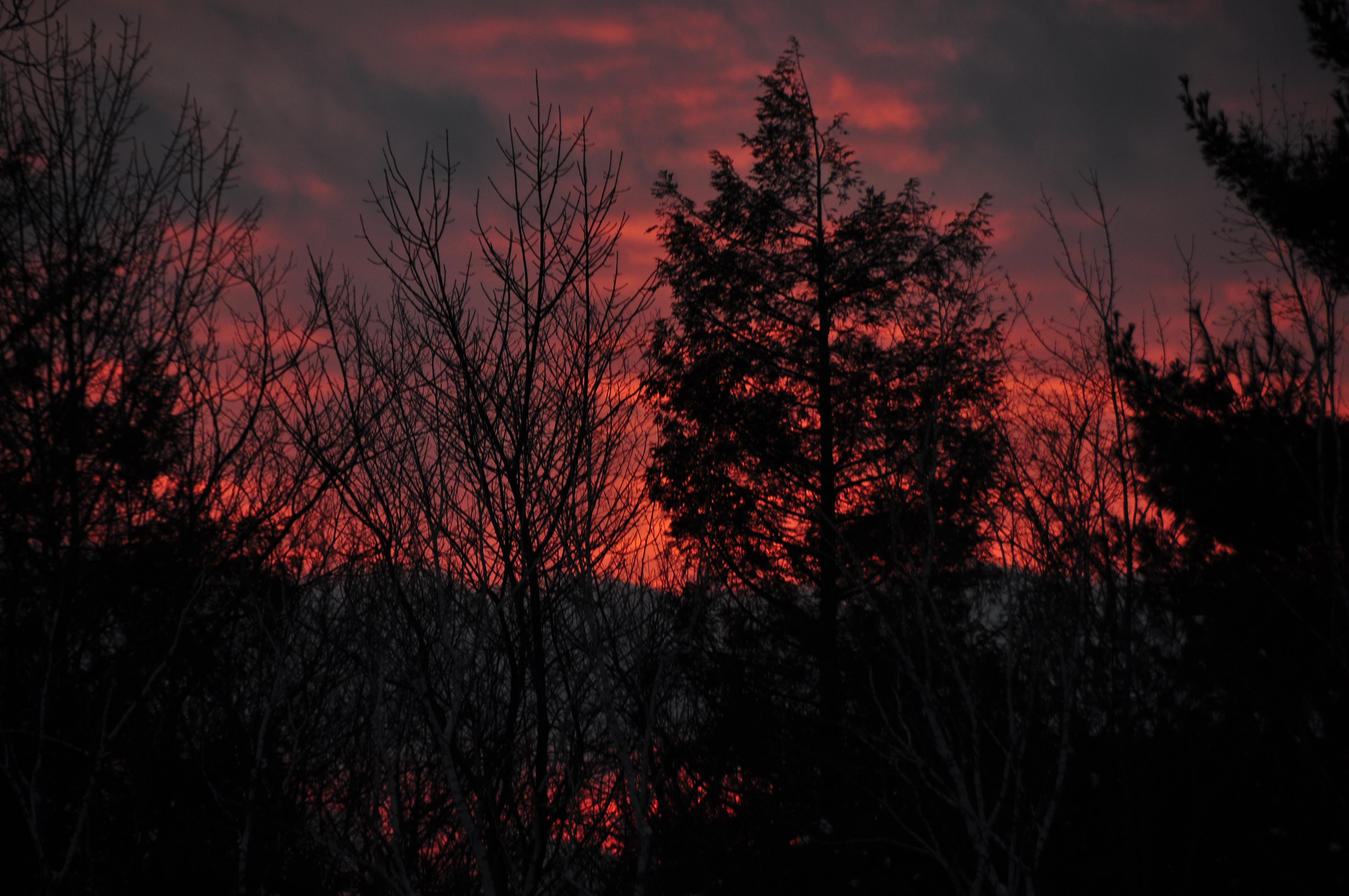 _DSC7064.JPG