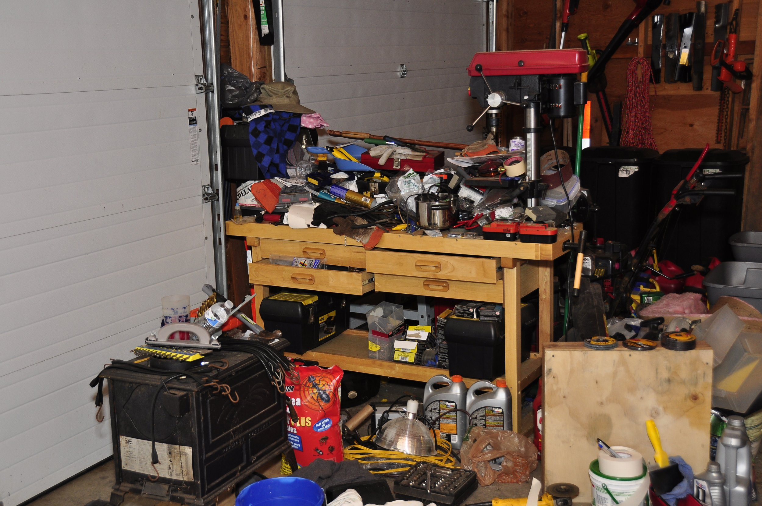 _DSC9115.JPG