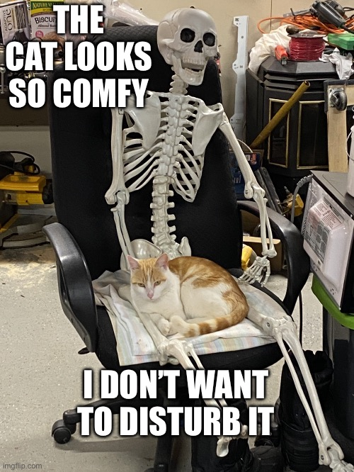 AC7F301E-C29F-47E4-8F80-F4A262E5F7FE.jpeg