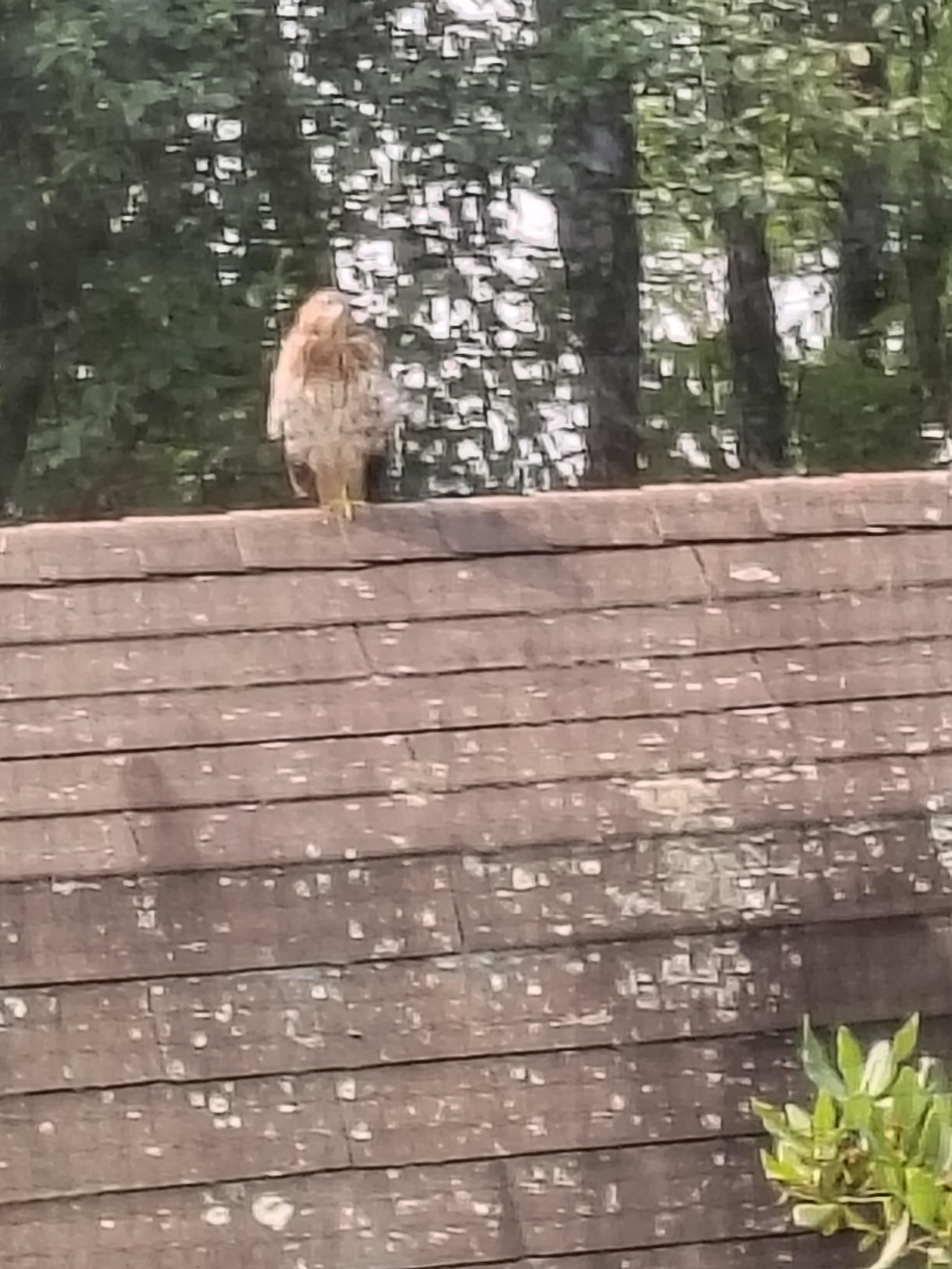 adult watching over.jpg