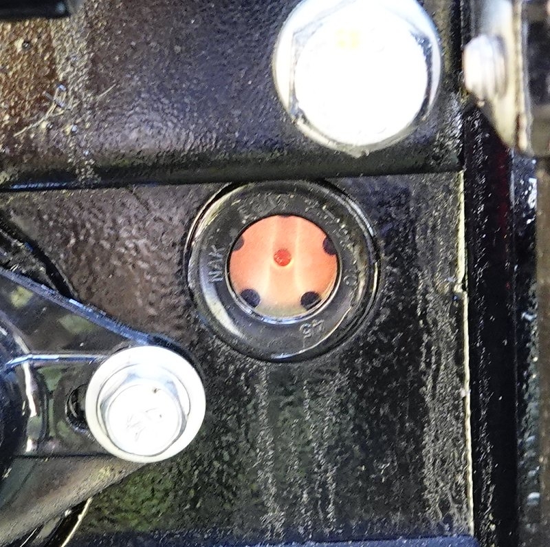 after dye added 01.jpg
