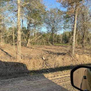 After Mulching.jpg