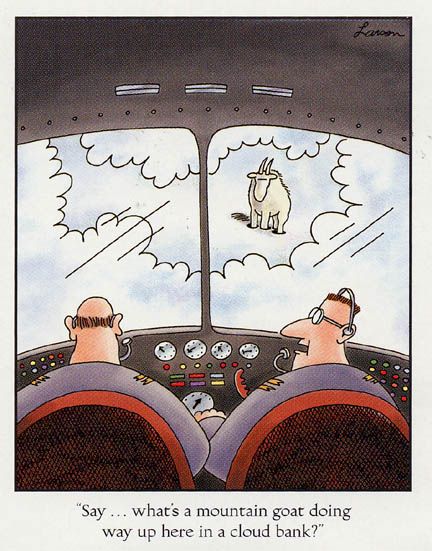airlinergoatclouds.jpg