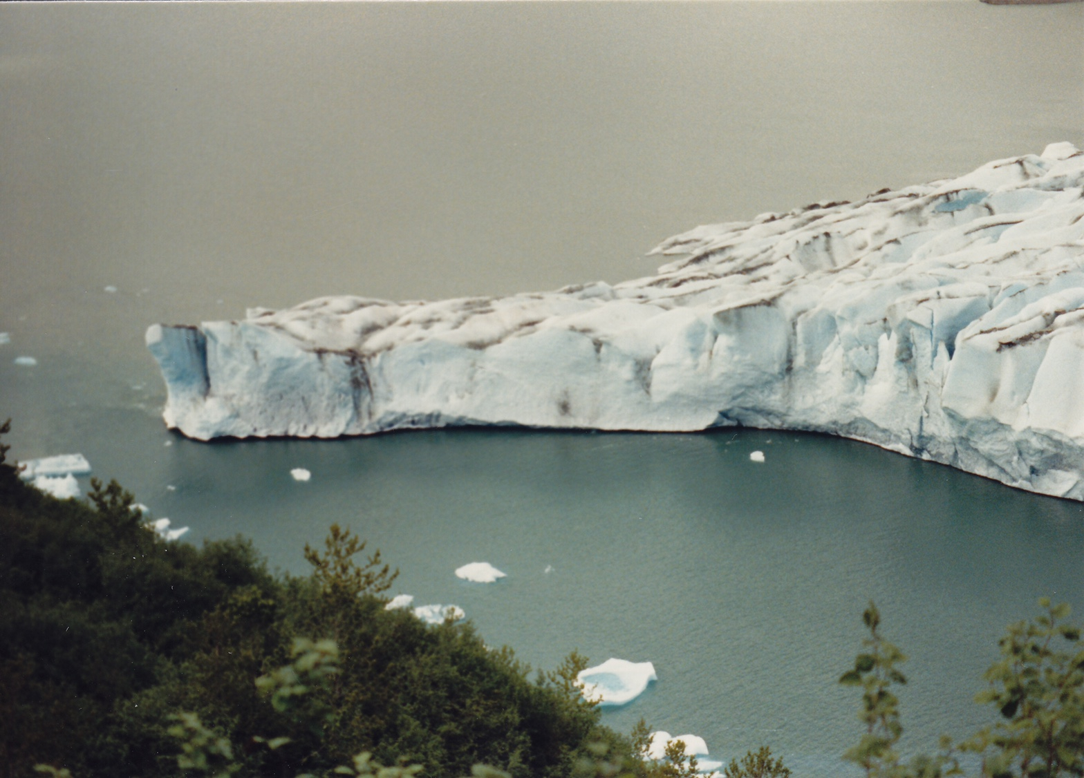 AK_MendenhallGlacier1988.jpeg