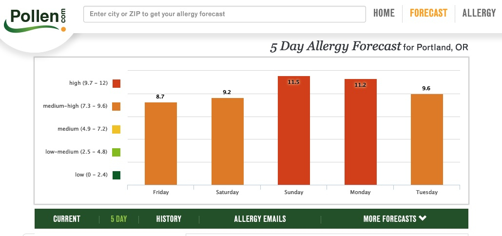 allergy.jpg