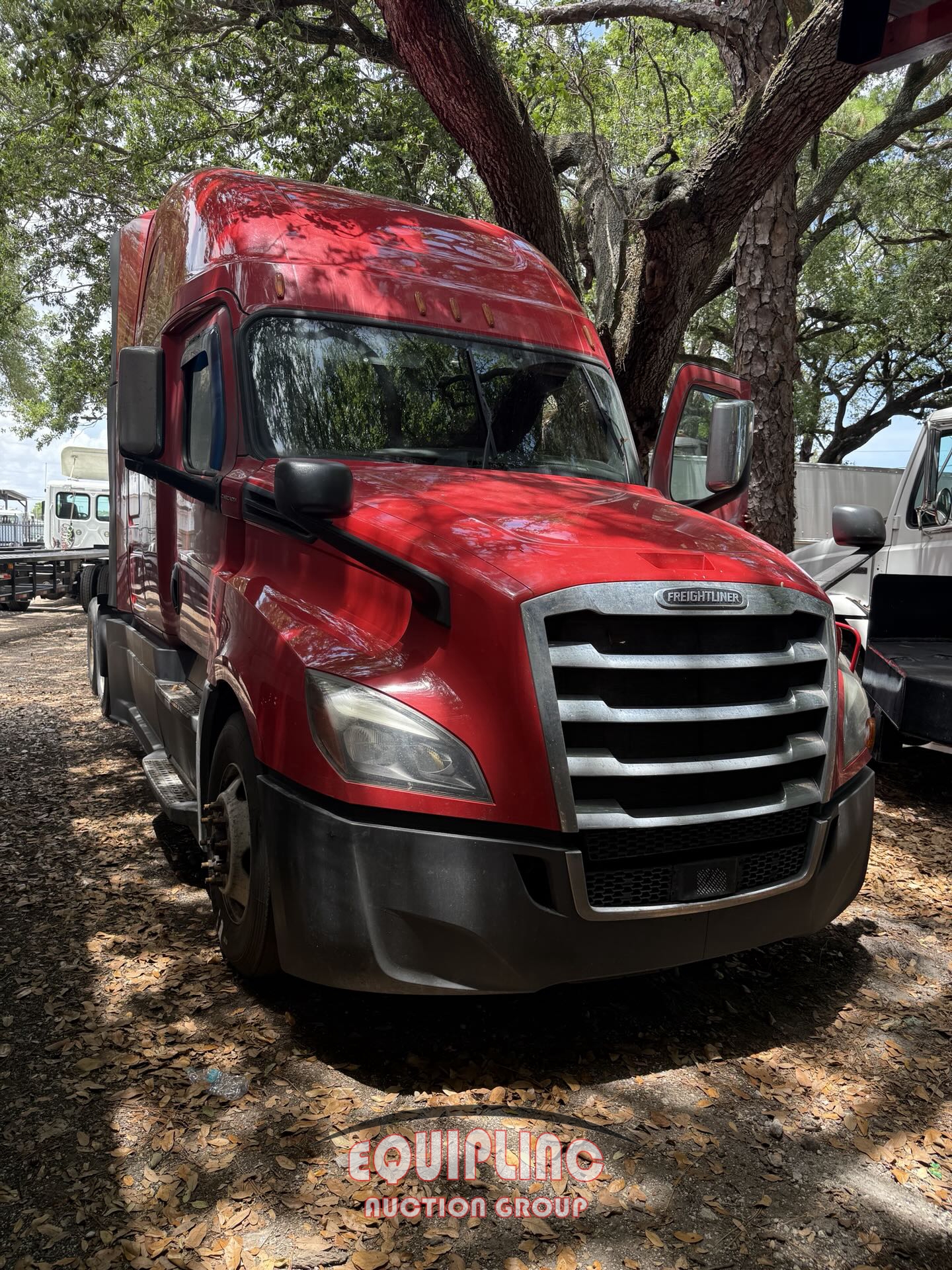 2019 FREIGHTLINER CASCADIA TANDEM AXLE SLEEPER (A45678)