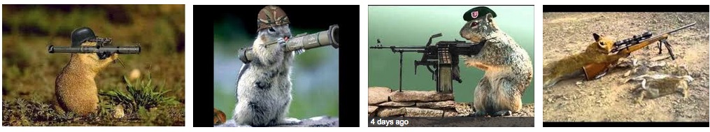 animalguns.jpg