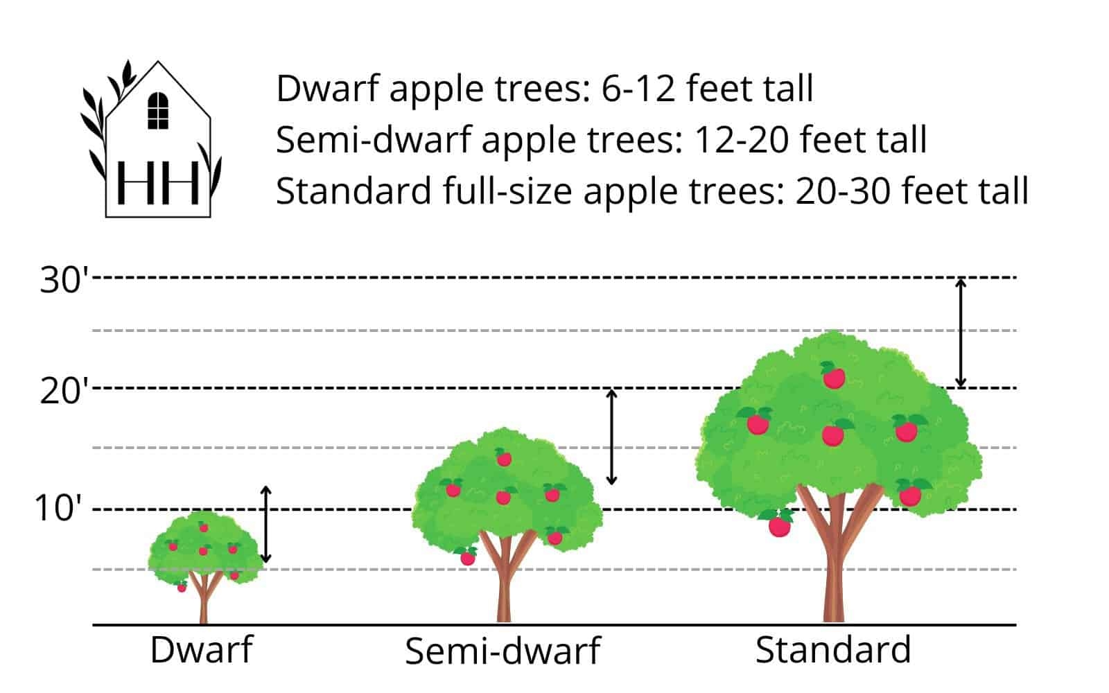 apple-trees-grow.jpg