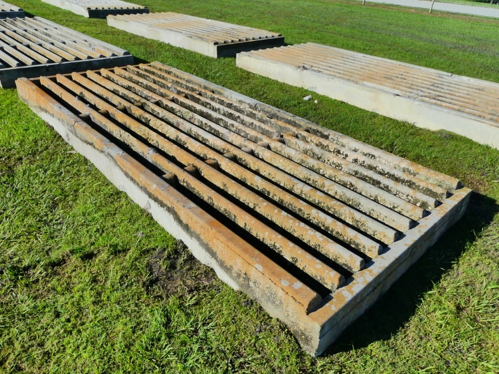 16' Cattle Guard (A53316)