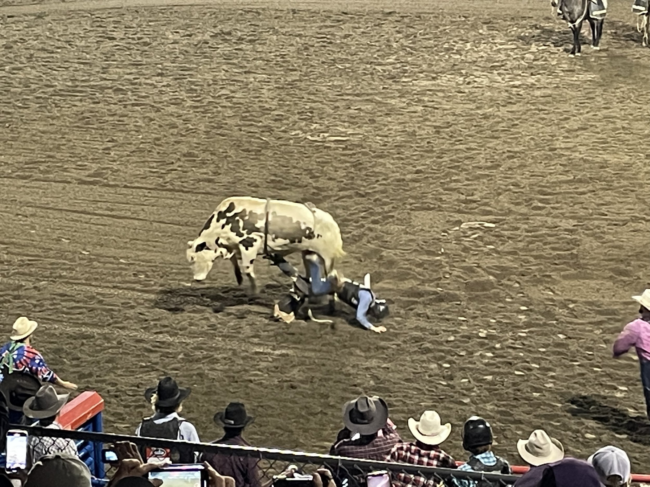 B2495531-5725-42F6-9991-121C34670AA9.jpeg