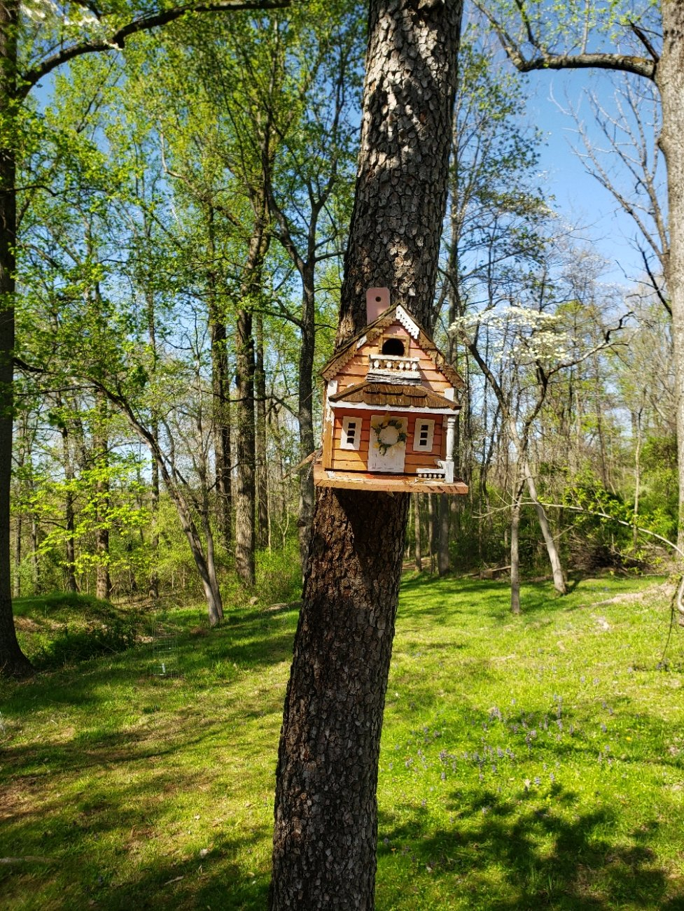 badbbirdhouse20220430_155233.jpg