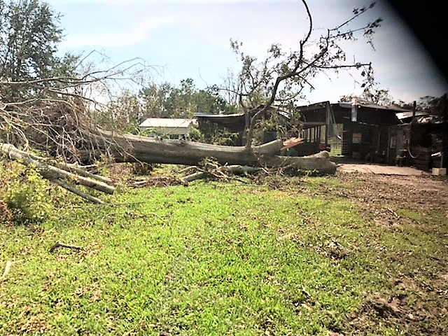 Barn damage.jpeg
