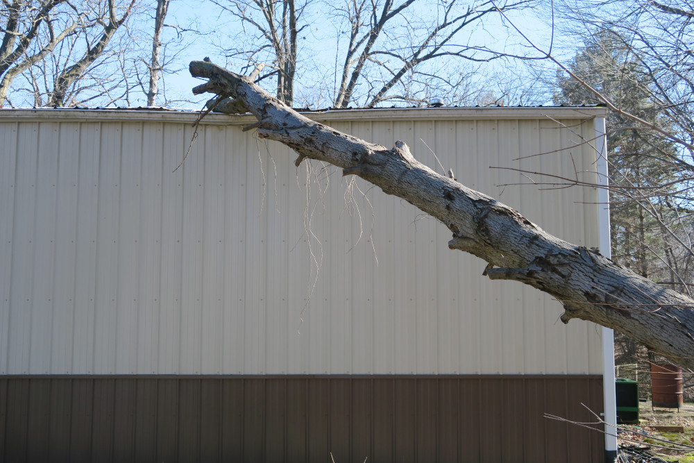 Barn4.JPG