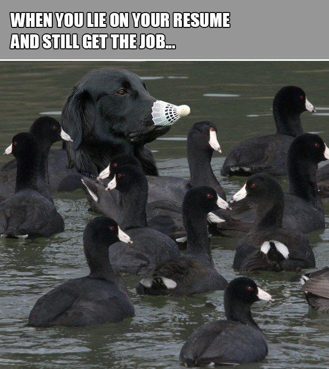 beaks.jpg