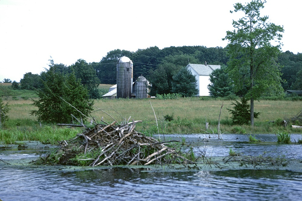 Beaver House 1989r.jpg