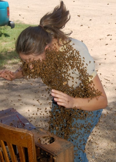 bee-beard_covered_Katie_Lee.jpg