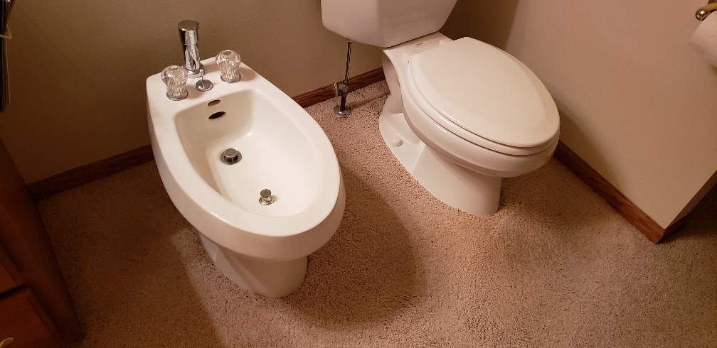Bidet.jpg