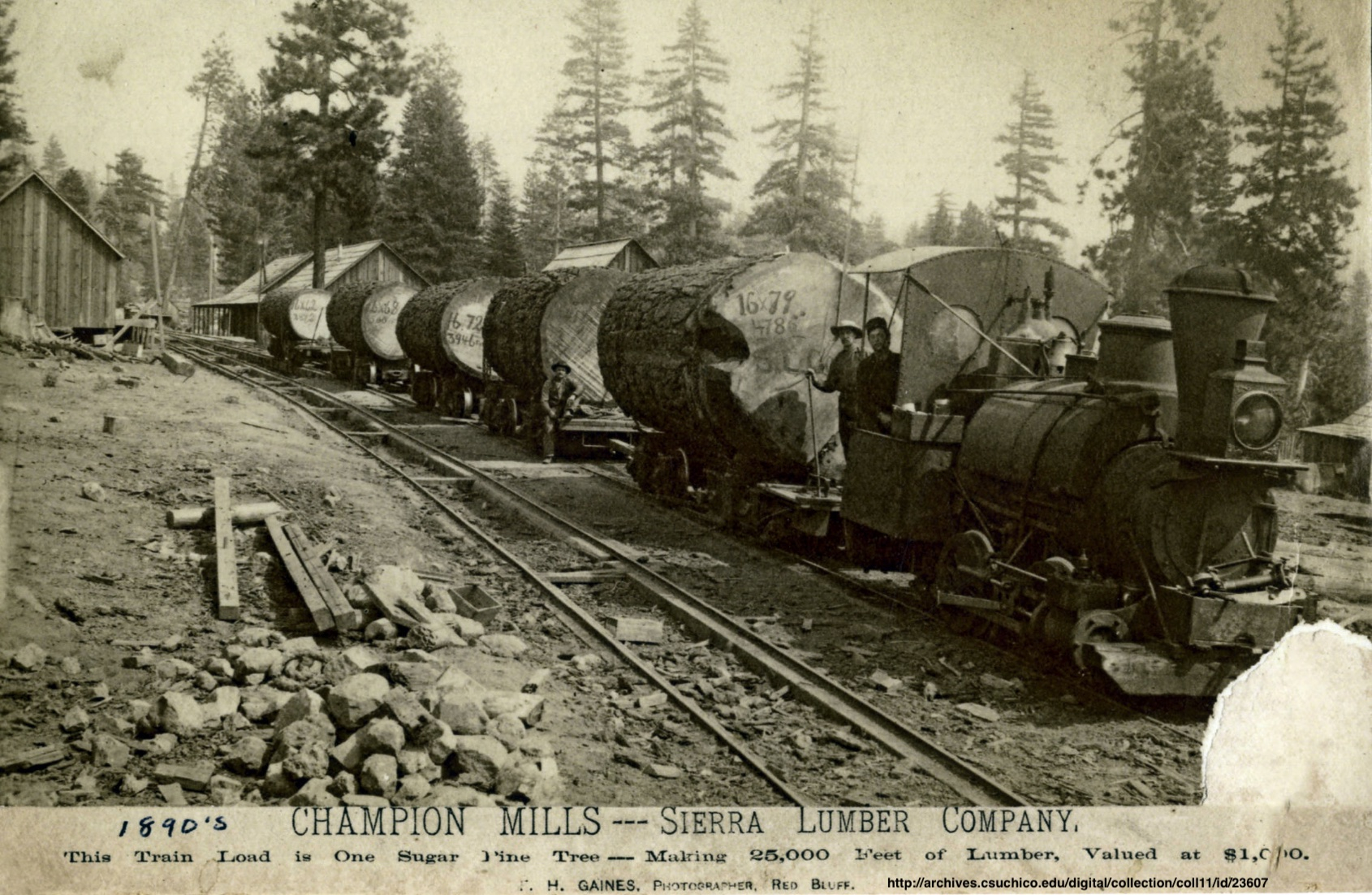big-logs-4.jpg