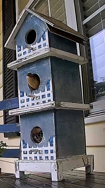 birdhouse.jpg