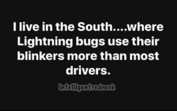 blinkers.jpg